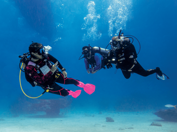 PADI INSTRUCTOR MANUAL 2025 PDF FREE DOWNLOAD ENGLISH visual data 8